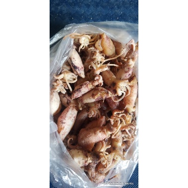 

CUMI/SOTONG ASIN UKURAN SEDANG