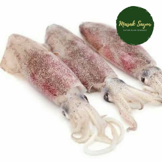 

cumi basah segar premium 250 gram