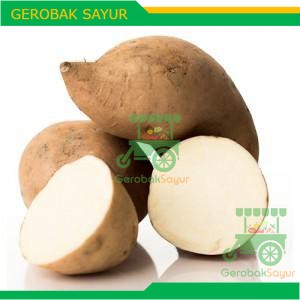 

Ubi Putih 1 kg