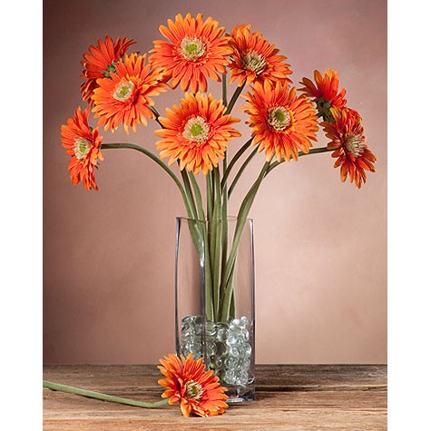 BUNGA GERBERA ASLI - ORANGE - BUNGA POTONG