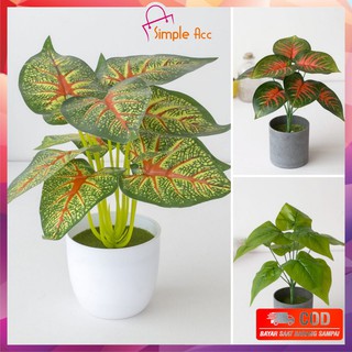 ~COD~ DO-C163 Ornamen Pot Tanaman DaunPlastik HiasanDekorasi Rumah Monstera Plastik Artificial Plant