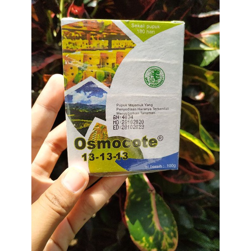 OSMOCOTE ( DEKASTAR )13 13 13 131313 Seimbang Pupuk NPK Slow Release Asli Kemasan Pabrik 100 Gram