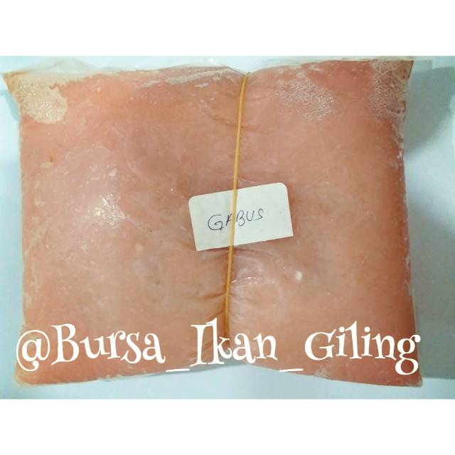 

Ikan Gabus giling (Air Tawar)