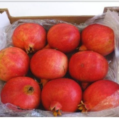 

DELIMA INDIA Beli Per Dus @2.5Kg - BUAH DUS