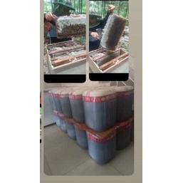 

Madu Hutan Akasia Carpa