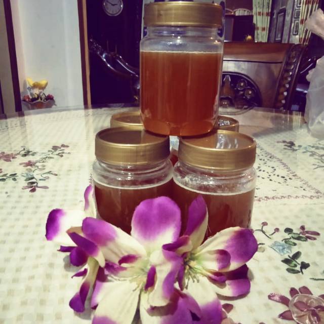 

Madu hutan sumatera