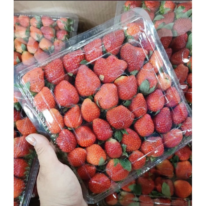 

Strawberry Fresh 1 kg