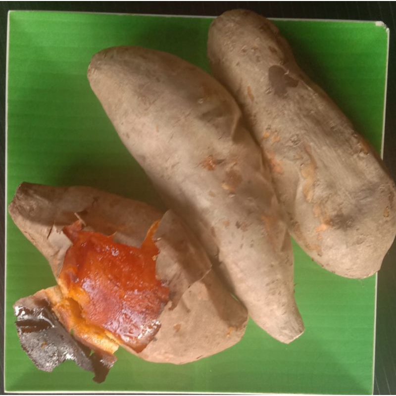 

ubi madu cilembu panggang