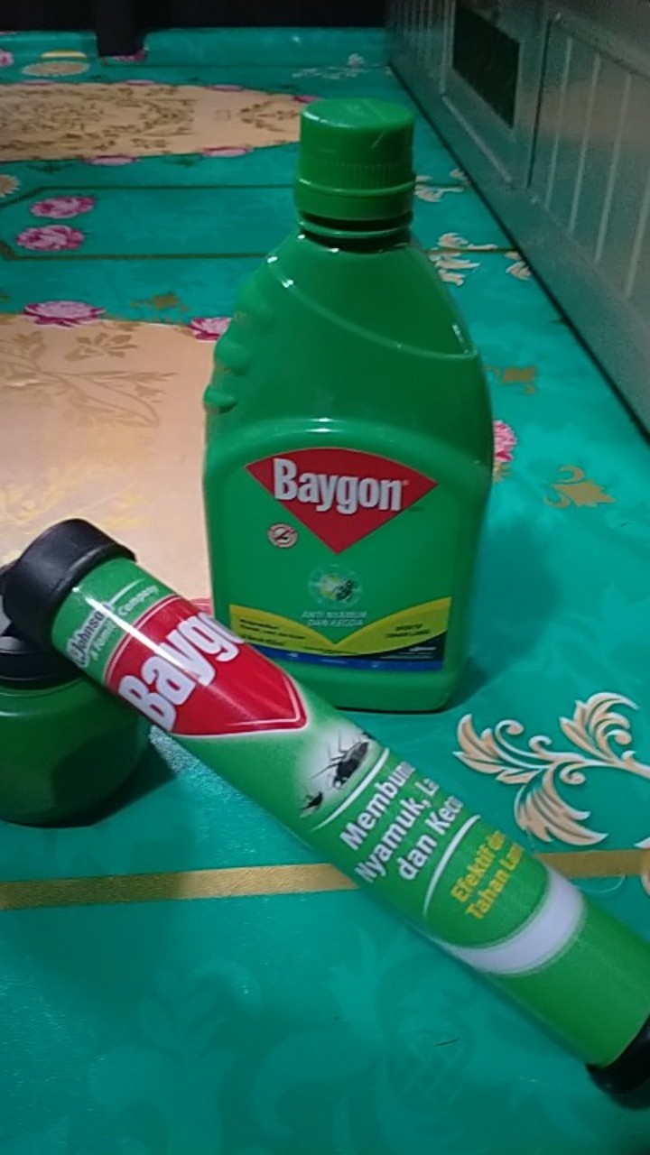 Baygon Anti Nyamuk & Kecoa  Jumbo 650ml+semprotan