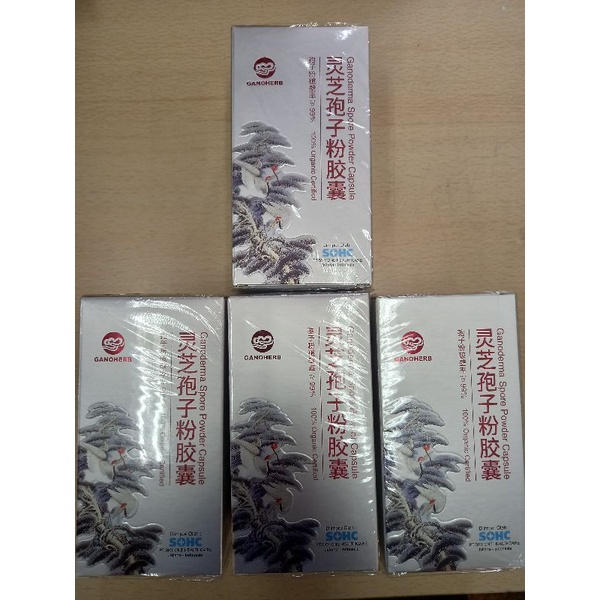 jamur lingzhi ganoderma spore powder capsule 100% jamur lingzhi