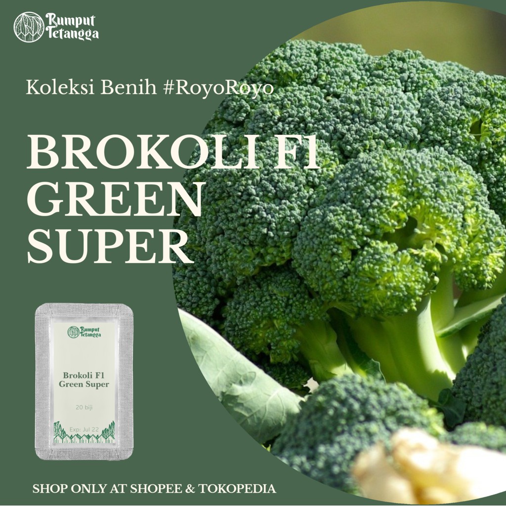 Benih Brokoli F1 Green Super