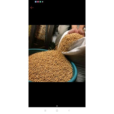 

kedelai impor 1kg