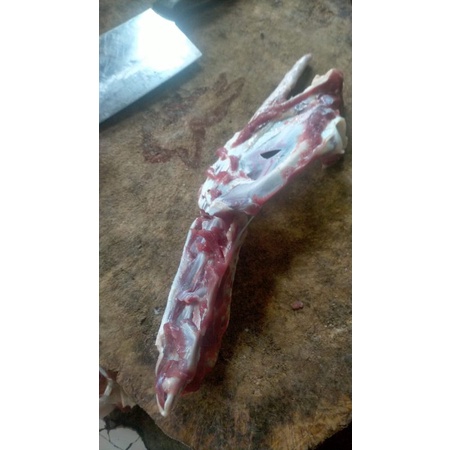 

TULANG SUMSUM KAMBING LOKAL FRESH HALAL