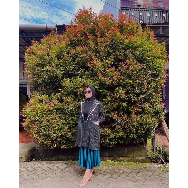 Blazer - Rani Collection