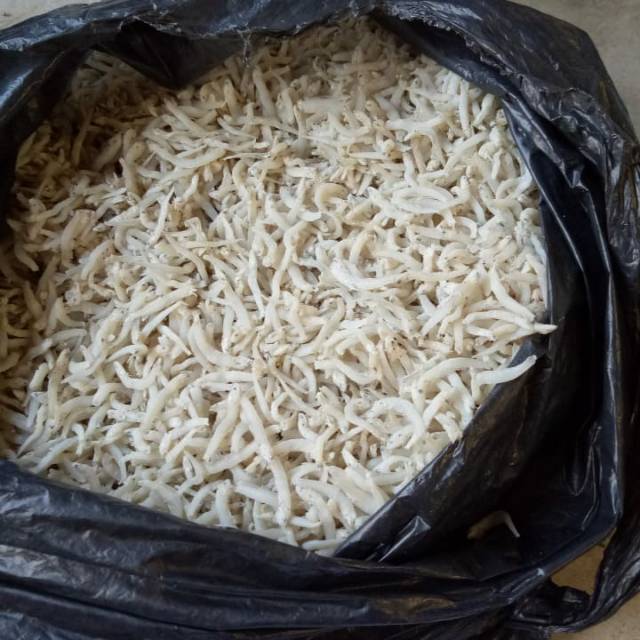 

Ikan teri kecil