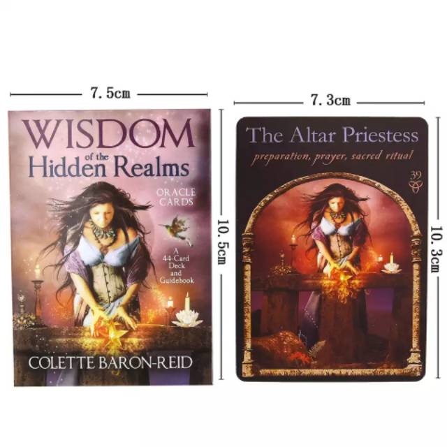 Wisdom of The Hidden Realms Oracle