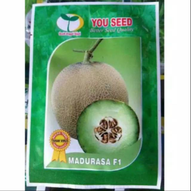 Benih melon MADURASA F1gf