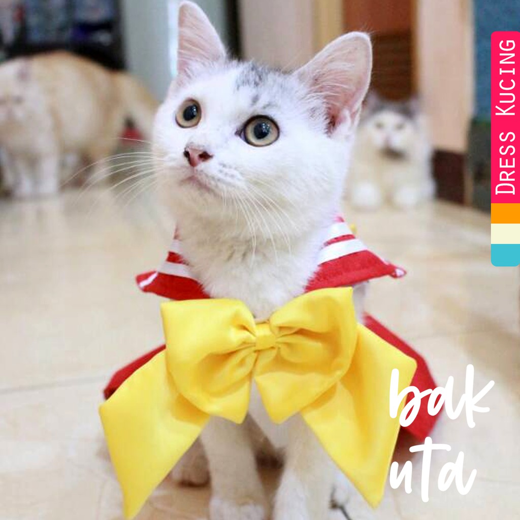 Dress sailormoon Mars untuk kucing &amp; anjing /Jual Baju Kucing Terlengkap &amp; Berkualitas size S-XL