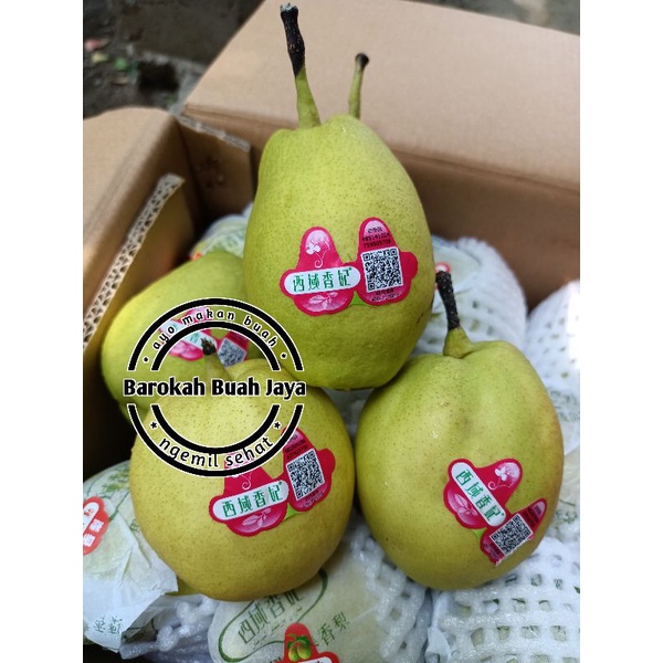 

PEAR XIANGLIE 500GRAM