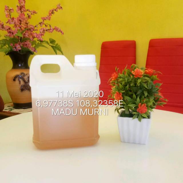 

Madu murni 1kg