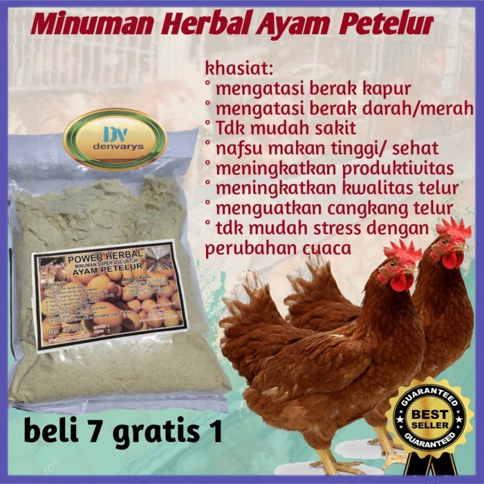 

✔ COD ✔ jamu ayam petelur vitamin herbal nyeor ejhu obat suplemen doc