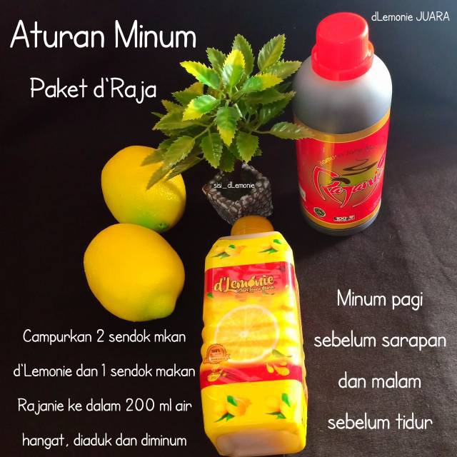 Paket dRajanie/dlemonie Rajanie