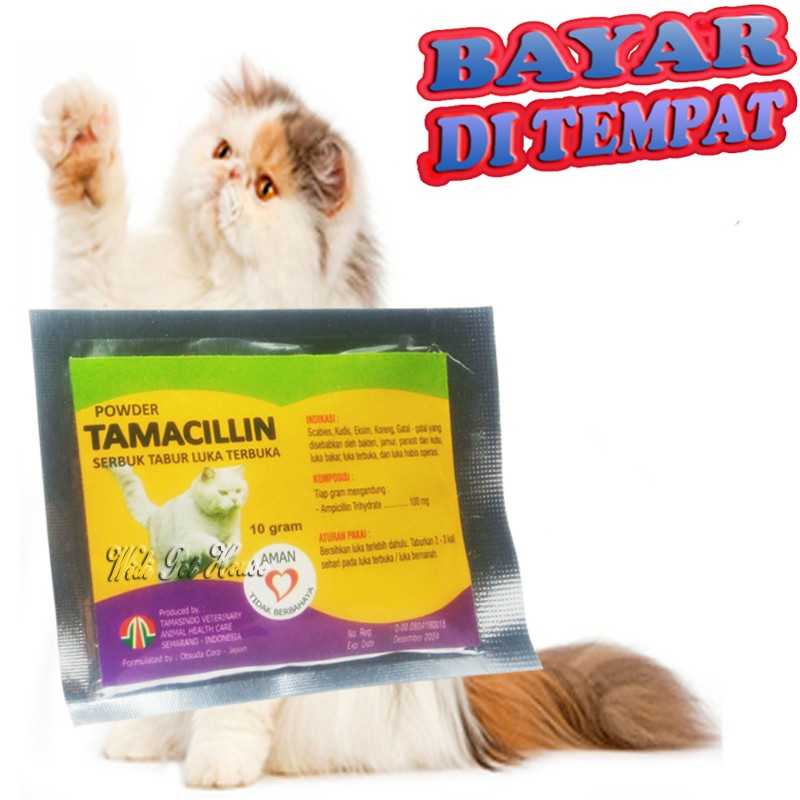 Obat Luka Kucing Terbakar TAMACILLIN CAT Sakit Infeksi Kulit Bernanah