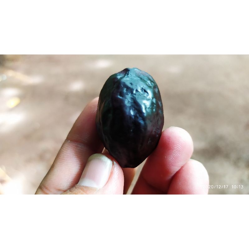 MUNCANG JAYANTI MILENIAL