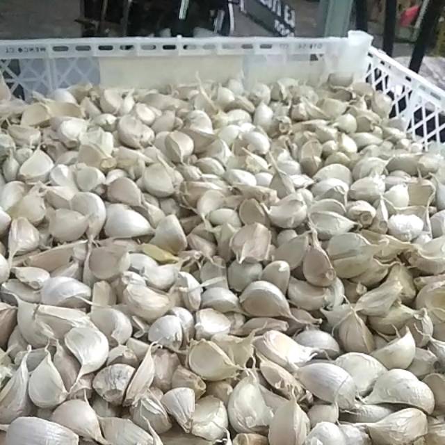 

Bawang Putih Kating 1 Kg (1000 gram)