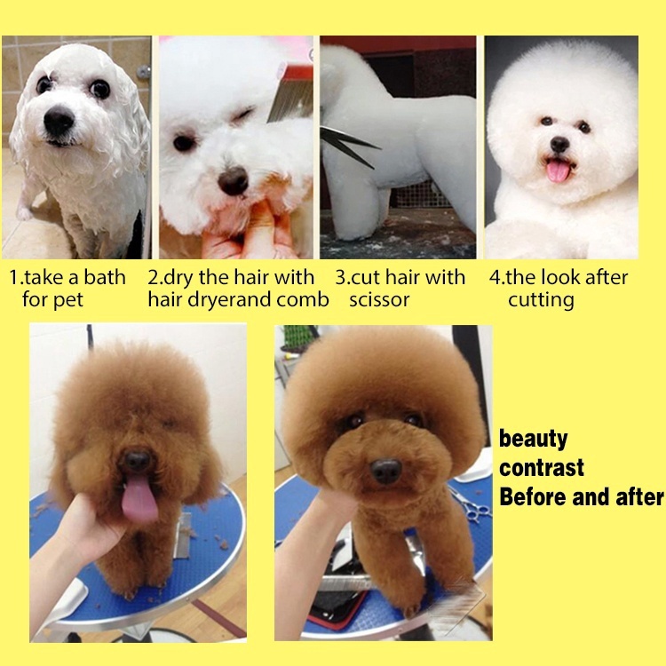 5Pcs / set Gunting Grooming Untuk Anjing Peliharaan