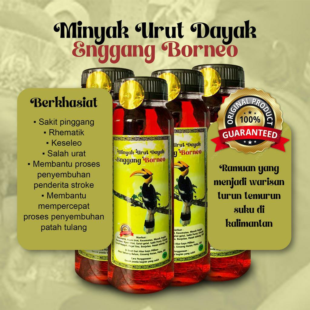 Minyak Urut Dayak Enggang Borneo
