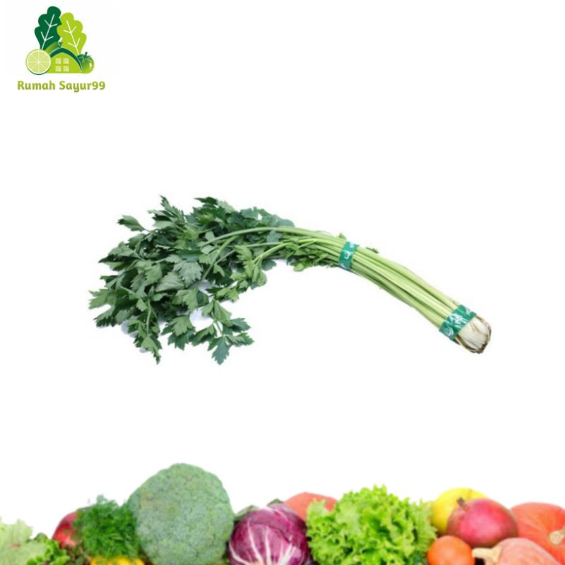

Daun Seledri Sledri 200Gram