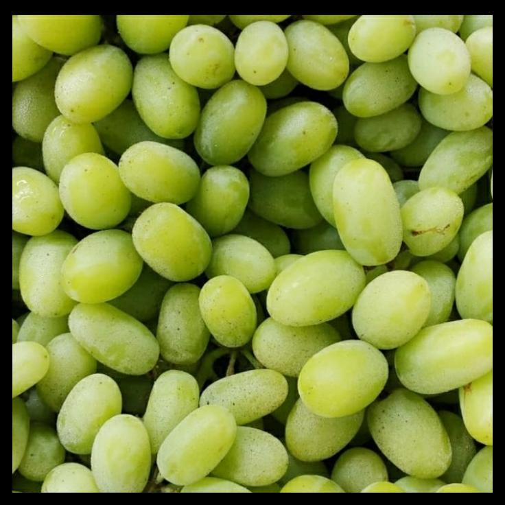 

Buah Anggur Hijau Tanpa Biji Fresh 1Kg