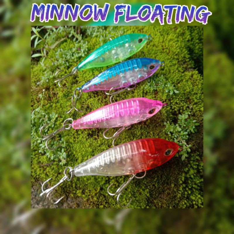 Minnow Floating WTD Umpan dengan mata Kail Casting Hampala