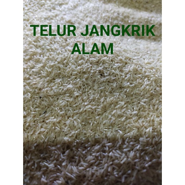 

TELUR JANGKRIK ALAM kemasan 1kg