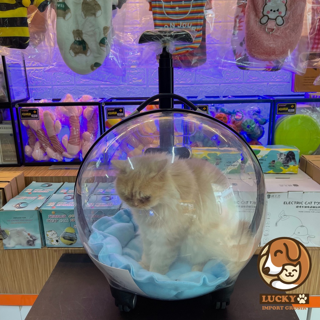 Tas Koper Travel Anjing Kucing Troli Anjing Kucing