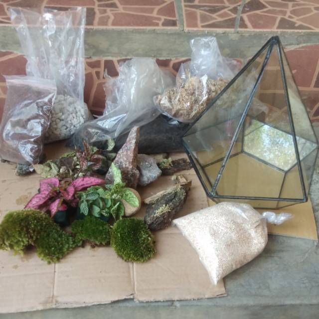 Terrarium kit, moss terrarium, terrarium lumut, terarium lumut, paket terrarium