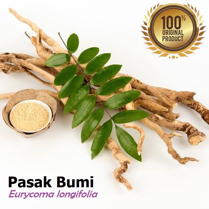 PASAK BUMI Kapsul Obat Herbal Stamina Vitalitas Pria  Obat Kuat Tahan Lama Alami Asli Tanpa Campuran-2