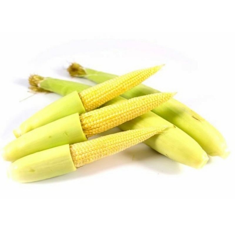 

JAGUNG BABY ORGANIK 200GR