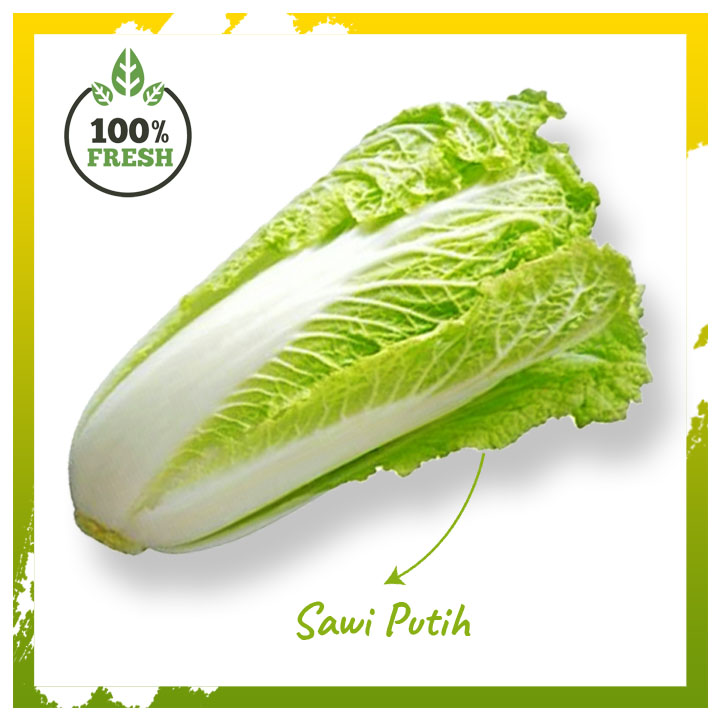 

SAWI PUTIH SEGAR 500 GR SAWI PETSAI SAYUR SAYURAN SEGAR CHINESE CABBAGE