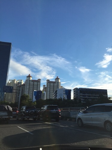 Tissue Paseo Smart 250 Sheet 2 Ply