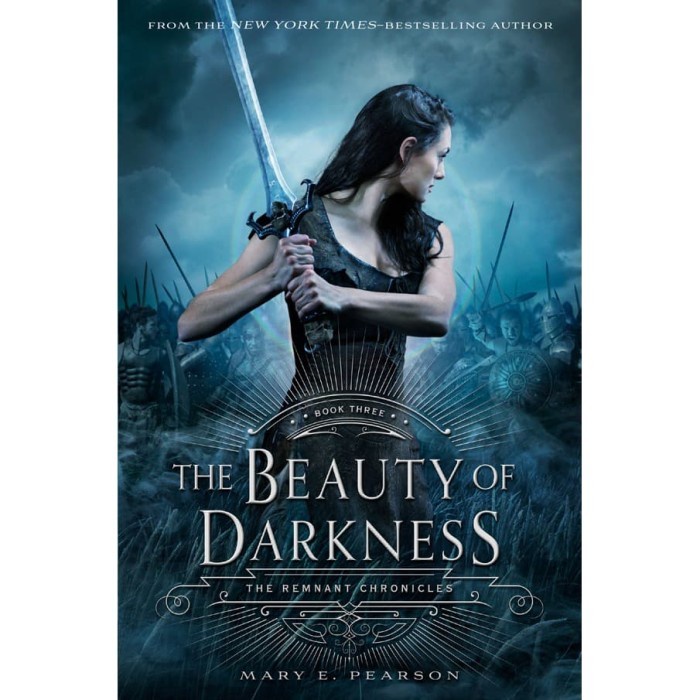 The Beauty of Darkness by Pearson Mary E (PAPERBACK)