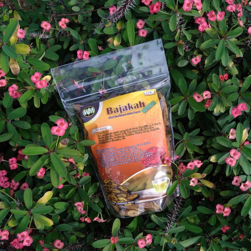 Akar Bajakah "Akar Kuning" Asli Kalimantan