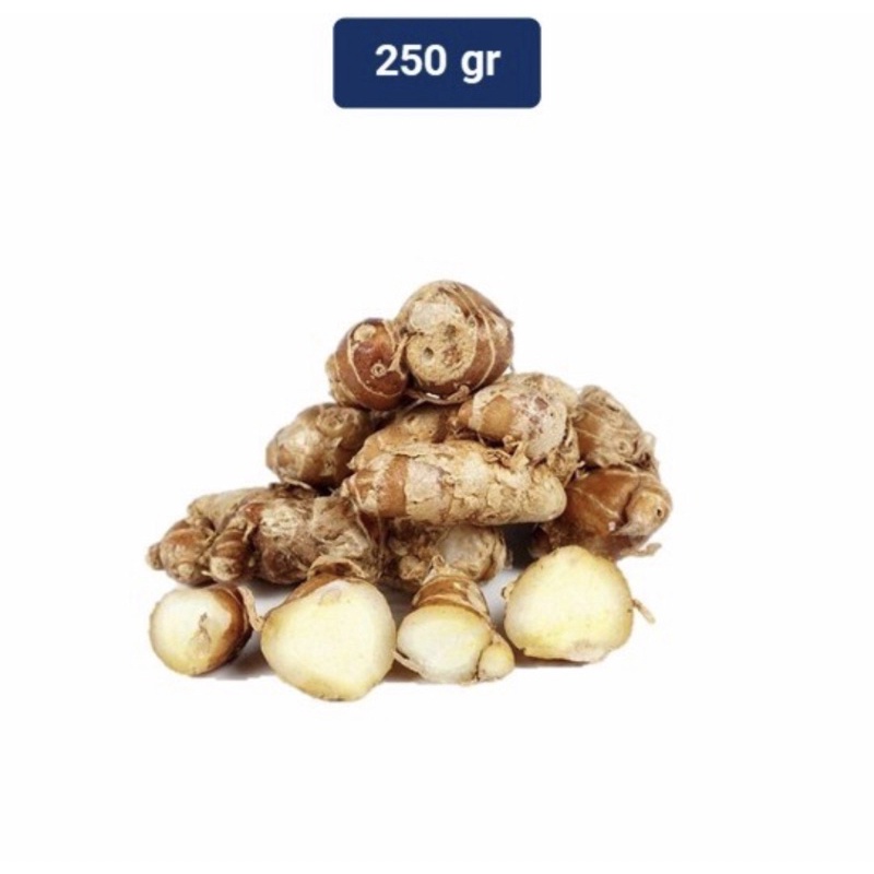 

Kencur/ Cikur unggul terlaris 250gram Bisa COD