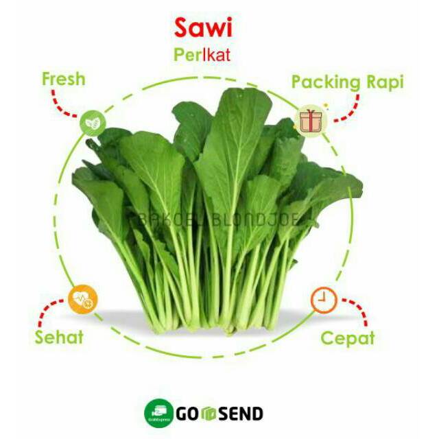 

SAWI HIJAU / SAWI / MUSTARD GREENS / FRESH VEGETABLES / VEGETABLE / SAYUR SAYURAN SEGAR / PER IKAT