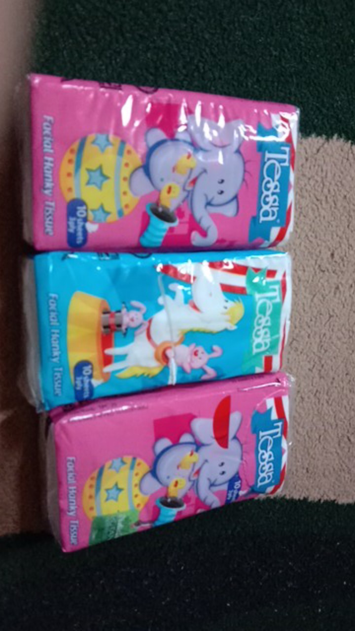 Takashi Tissue Tessa Pocket 12 Ply