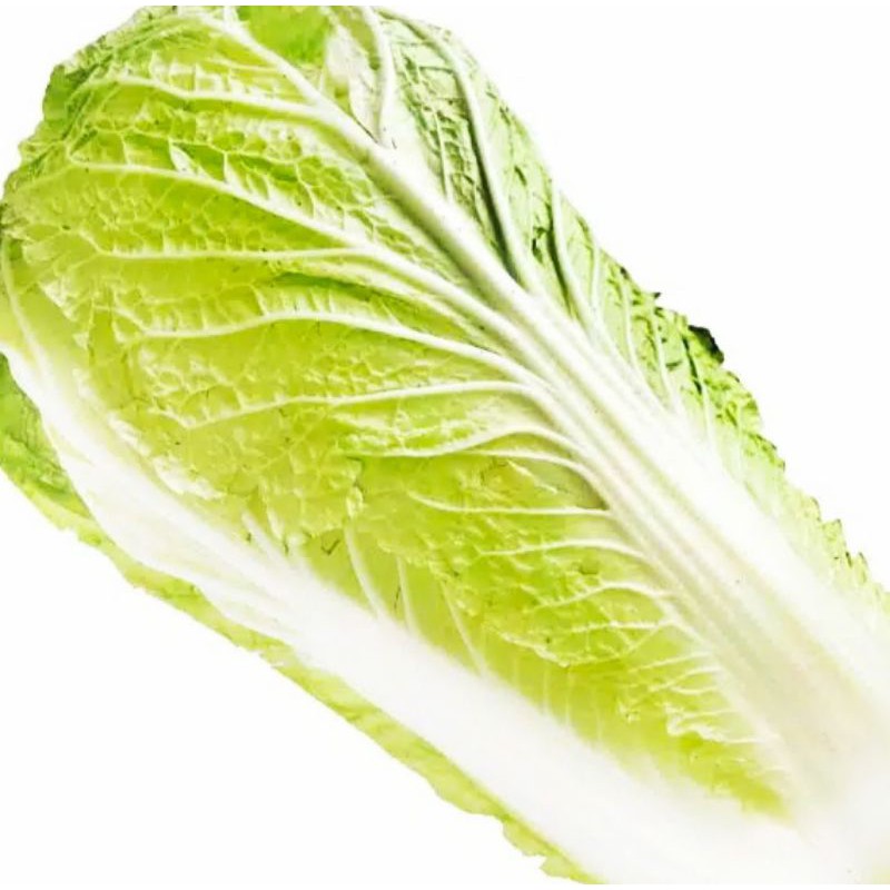 

Sayur Segar - Sawi Putih 500 gr