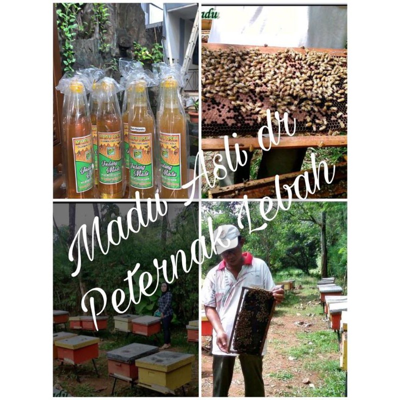

Madu Asli Murni 100%