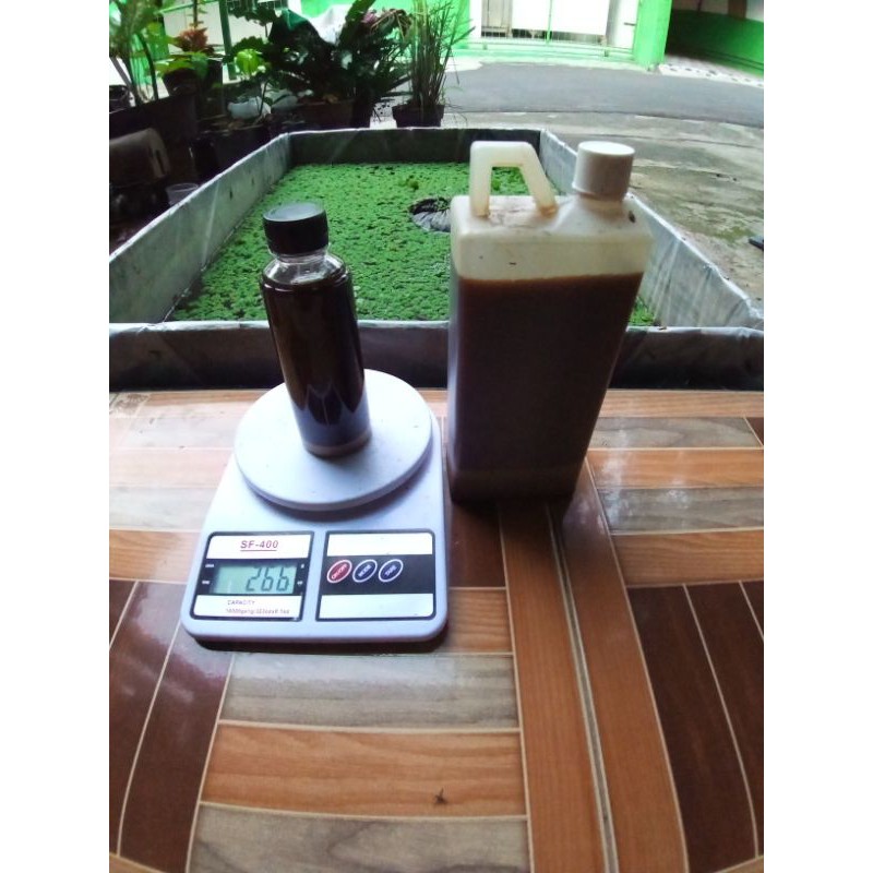 bakteri Zet 250 ml repack