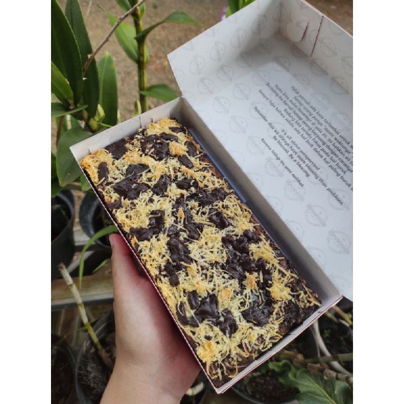 

Brownies panggang Double Chocco Cheese (DCC)